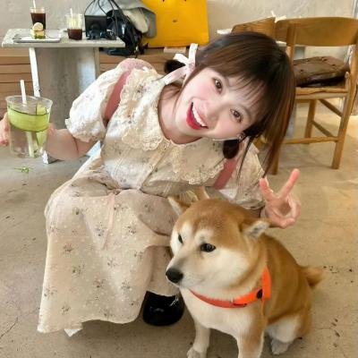 新年来啦之大闹除夕